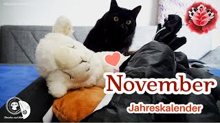 Jahreskalender November  Sockenwolle  Maschenschäfchen [upl. by Ellennahc985]