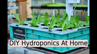 DIY Hydroponics At Home [upl. by Sheri]