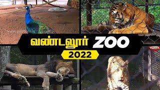 VANDALUR ZOO 2022  Arignar Anna Zoological ParkVandalurChennai  Chennai ZOO [upl. by Aiciram150]