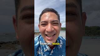 okinawa language nankurunaisa uchinanchu [upl. by Huberman]