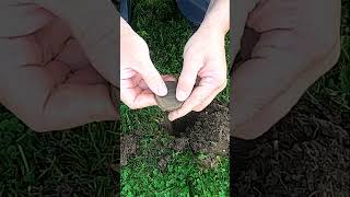 Metal Detecting Ladies Compact 1800 Silver Coins Relics Toy Farm Western NY metaldetecting shorts [upl. by Fitzhugh523]