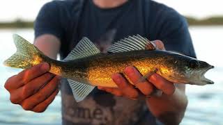 Aquaculture in Ontario Canada [upl. by Nitaf]