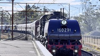 NSWGR 6029 NSWDR 4916 4201 and 4501 Pass Through Bell Station  THNSW Bathurst 2024 [upl. by Simson65]