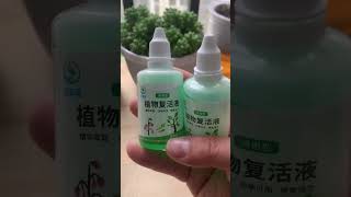 Universal plant and flower rejuvenation liquid [upl. by Sanger]