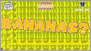 Banana Cup Shenanigans  MarioKart Conquest 12 [upl. by Feld]