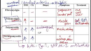 Video 189 Understanding Myopathies Fibromyalgia Polymyalgia Polymyositis and Dermatomyositis [upl. by Lhadnek]