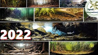 Biotope aquariums 50 arrangements cinematic [upl. by Sherilyn]