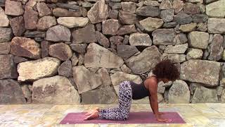 How to Cat PoseCow Pose MarjariasanaBitilasana  Beginner Yoga [upl. by Ettevy335]