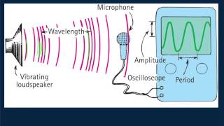 HewittDrewit PHYSICS 83 Types of Waves [upl. by Enitselec]