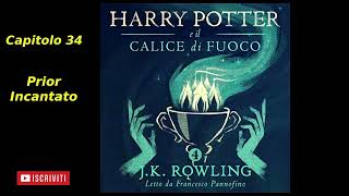 Harry Potter e il Calice di fuoco Audiolibro Italiano letto da Francesco Pannofino Capitolo 34 [upl. by Deana353]