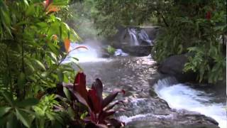 Discover Costa Rica [upl. by Nnaeirelav936]