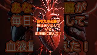 【有益トピ】あなたの心臓が毎日送り出している血液量に震えた！ 心臓の力 毎日の鼓動 血液の奇跡 生命の源 健康第一 心臓の役割 血液循環 感動の瞬間 [upl. by Nassi]