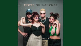 Punkis de Hacendado [upl. by Konyn]