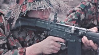 SWISS ARMY 1972 TACTICS Vintage Film quotInfantry Combatquot w Subtitles [upl. by Attenrad]