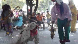 Historia de la danza comedia tradicional de los tecuanes EN FOTOS [upl. by Tut]