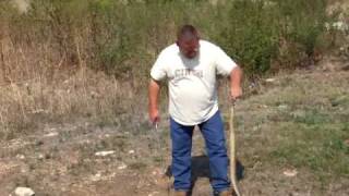 Rattlesnake Hunt in Texas with Shawn Jonas [upl. by Dorcy]