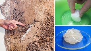 How To Kill Termites And Get Rid Of Them Forever [upl. by Asnerek]