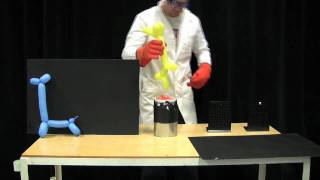 MIT Physics Demo  Balloons in Liquid Nitrogen [upl. by Leandro755]