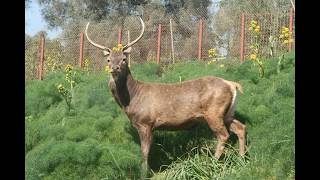 Algeria Guelma Nature Amazing ♥ الجزائر قالمة الطبيعة روعة [upl. by Gibbon]