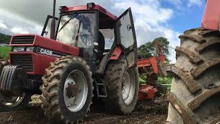 Organic potato harvest 2020 [upl. by Mosby243]