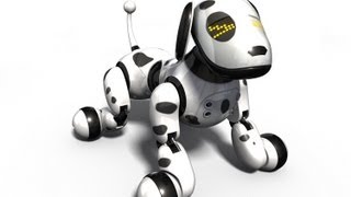 Zoomer Toy Dog Review 2013 [upl. by Ludie]