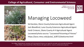 Managing Locoweed [upl. by Nylrahc]