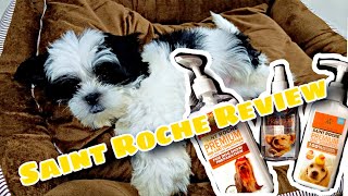 Saint Roche Dogs Bath Essentials  dog shitzu doglover [upl. by Sivrat]