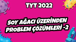 TYT Biyoloji  Soy Ağacı Üzerinden Problem Çözümleri 2  TYT Biyoloji 2022 hedefekoş [upl. by Lynelle564]