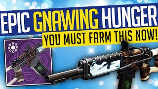 Destiny 2  EPIC GNAWING HUNGER How To Get The CURATED Legendary Auto Rifle  DO THIS TODAY [upl. by Cheke]