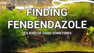 Where to Find Fenbendazole [upl. by Aynotahs]