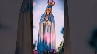 Hail Mary full of grace the Lord is with thee🙏avemaria rosary mothermary godblessings short [upl. by Tania526]