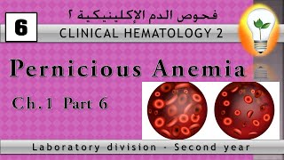 Clinical Hematology 6 Pernicious Anemia فقر الدم الخبيث [upl. by Aranahs]