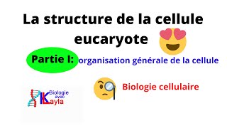 La structure de la cellule eucaryote تركيب الخلية حقيقة النواة [upl. by Andrea]