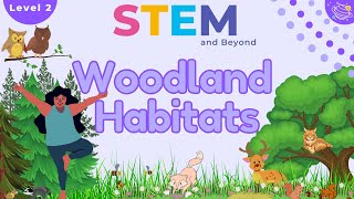 Woodland Habitats KS1 Year 2 Science  STEM Home Learning [upl. by Eilrac]