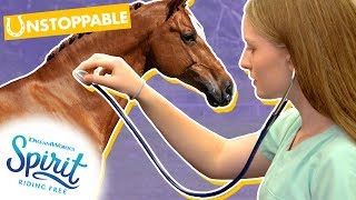 All About Equine Veterinary Care  THATS THE SPIRIT [upl. by Seessel]