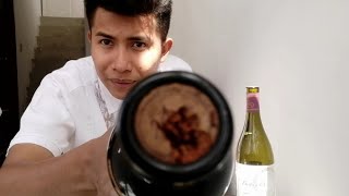 🟣✅ ASÍ SE DESTAPA UN VINO 🍇🍷 CON EL CORCHO ROTO MUY SUAVE O HÚMEDO🌐🧭 [upl. by Byler361]