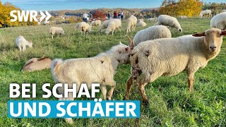 Auf Tour auf der Schwäbischen Alb Wandern Lamm essen Kleidung aus Wolle kaufen  SWR Treffpunkt [upl. by Dry185]