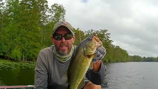 Buzzing up some bass on the Roanoke River [upl. by Oringa]