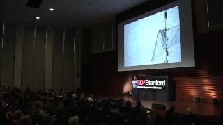 Drones of a Feather  David Lentink  TEDxStanford [upl. by Stanford]