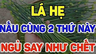 BÁC SĨ MÁCH ĂN LÁ HẸ CÙNG 2 THỨ NÀY NGỦ SAY NHƯ CHẾT GAN THẬN HỒI SINH [upl. by Ernaline]