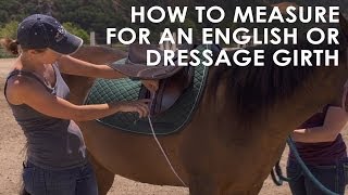 How To Measure Your Horse for English amp Dressage Girth Size [upl. by Rolyab]