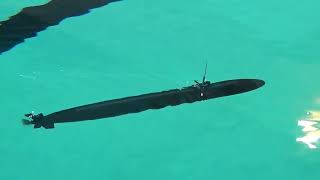 RC Submarine Subnautica 2024 [upl. by Wells]