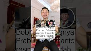 Bobby kucingnya pak Prabowo pindah ke Istana Negara Menarik nih shorts [upl. by Fruin515]