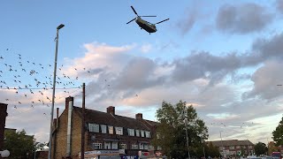 Kamala Harris helicopter entourage in London [upl. by Gass638]