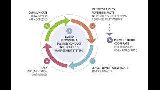 3 Explaining the OECD Due Diligence Guidance [upl. by Tati199]