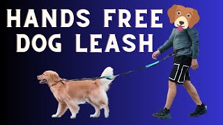 Review of the iYoShop Hands Free Dog Leash [upl. by Koosis]