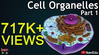 Cell Organelles  Part 1  Animation Video  Iken Edu [upl. by Yenobe]