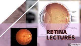 RETINA LECTURE 4 DIABETIC RETINOPATHY in detail with all important stuff [upl. by Sirkin18]