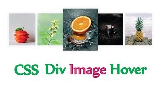 Css Div Image Hover  Html Css image card hover effect [upl. by Sparke]