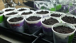 Let the 2014 Biochar Trials Begin [upl. by Afrika167]